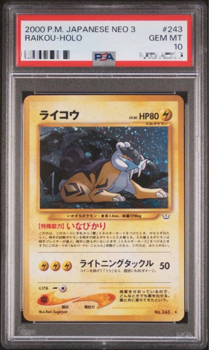 画像1: ライコウ LV.40 【A】 (1)