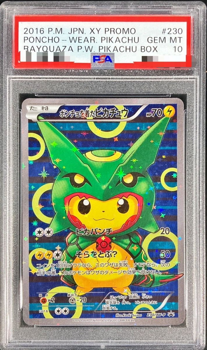 画像1: ポンチョを着たピカチュウ (1)